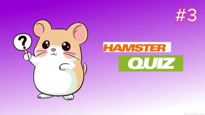 Hamster Quiz | Квиз Викторина #3