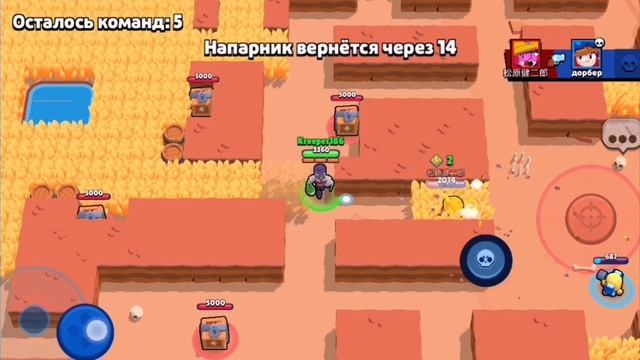 проверяем бойца барли