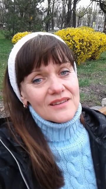 Апитон фито с хвоей.