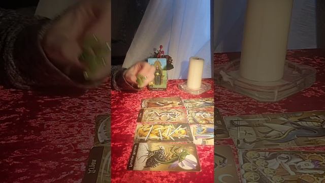 Весь он в отношении Вас❤ Четыре короля 👑