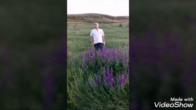 გიო ქსოვრელაშვილი