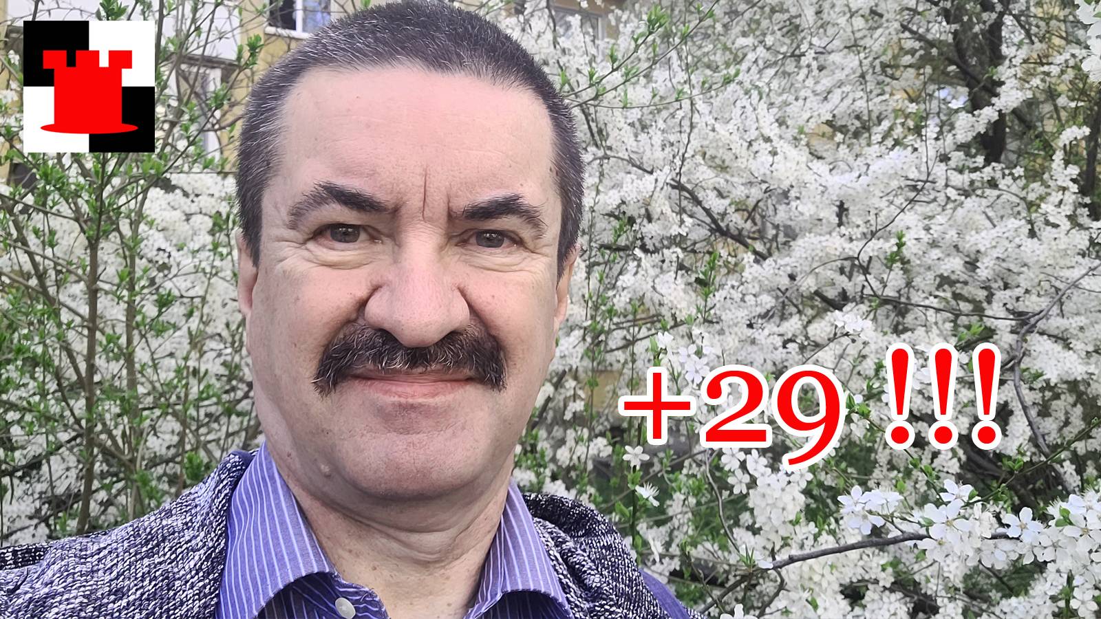 Жара в Калининграде