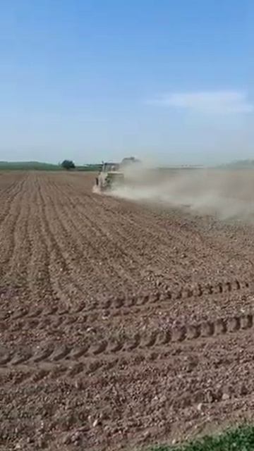 Alfalfa Plantation  -IRAN
