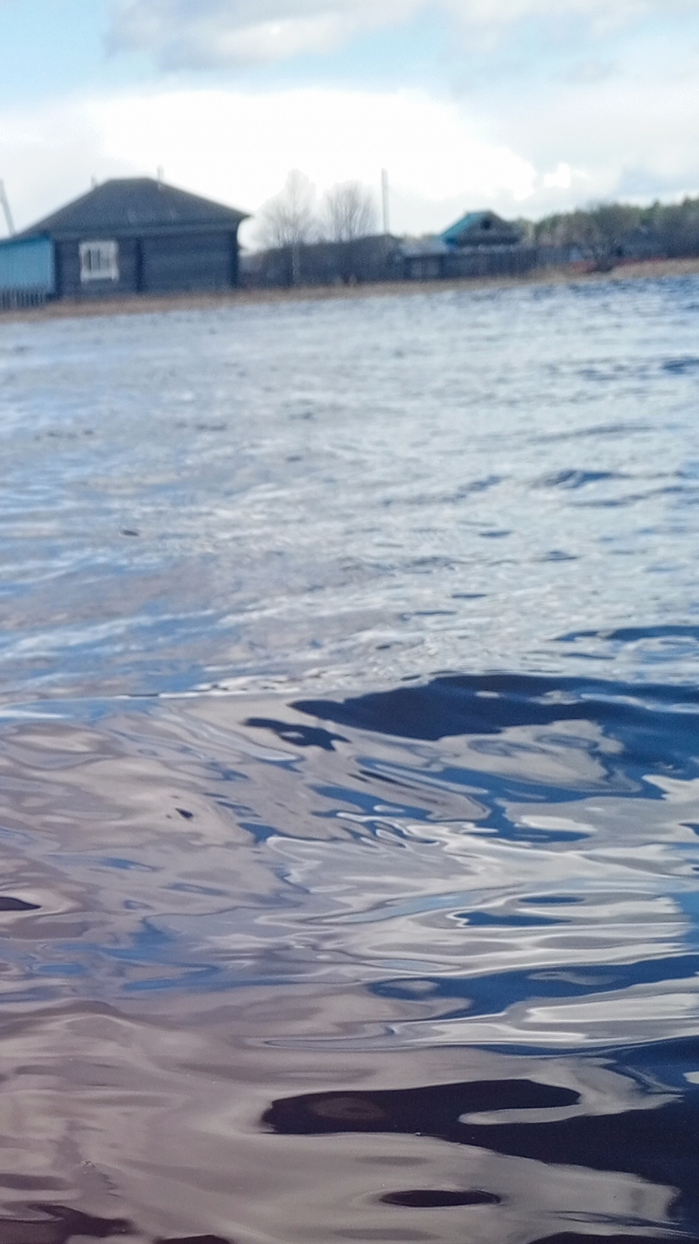в деревне речка поднялась #наводнение #вода