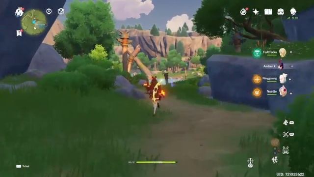 Je passe mon permis pour planner #2 (Genshin impact)