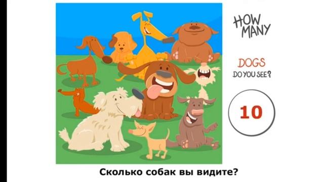 28 февраля 2024 г.