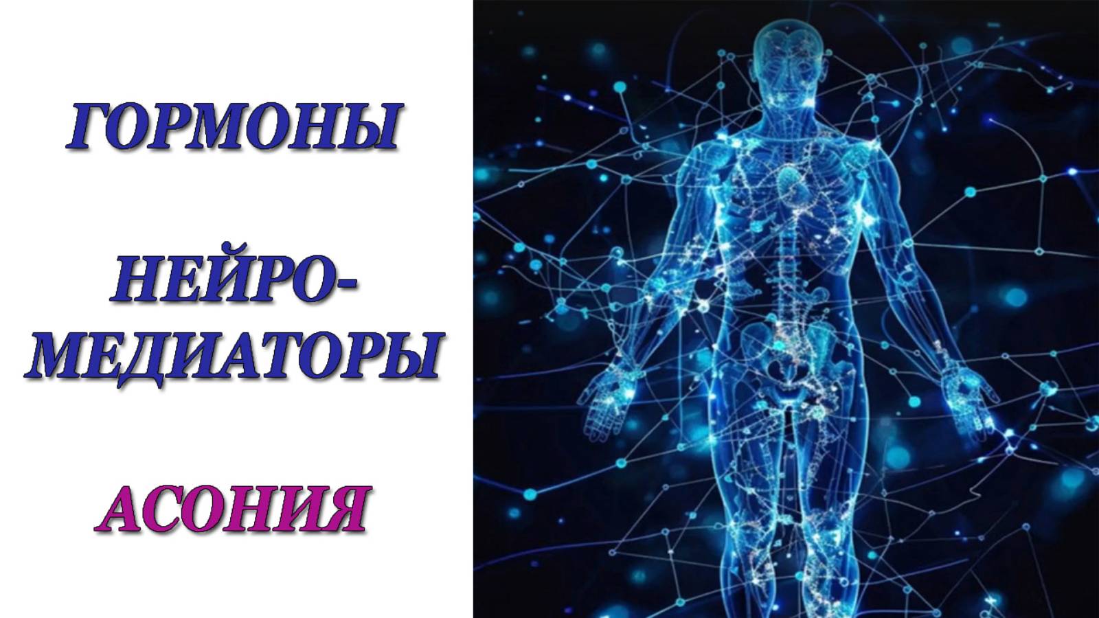 Гормоны, нейромедиаторы, Асония - какая связь