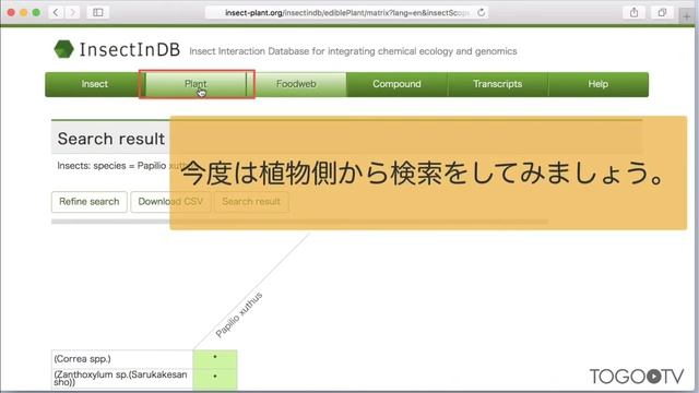 InsectInDB を使って昆虫と食草との関係を検索する