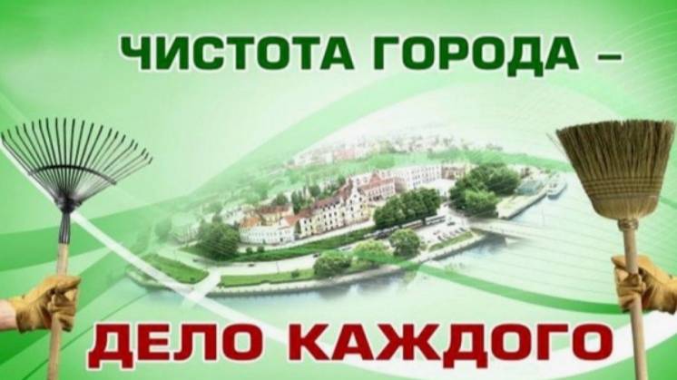Субботник Губернатора Хабаровского края