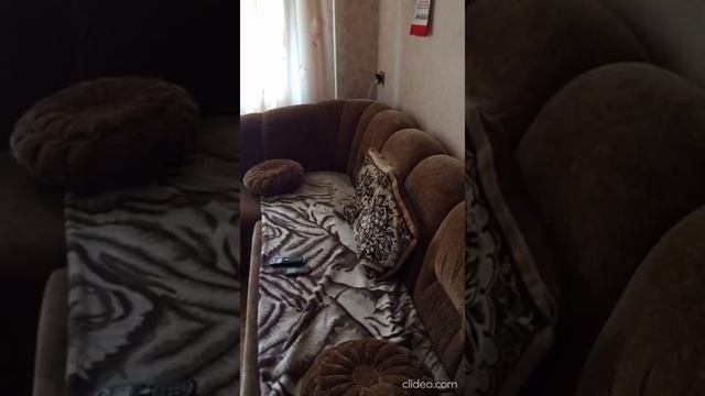 Укроп жжёт.