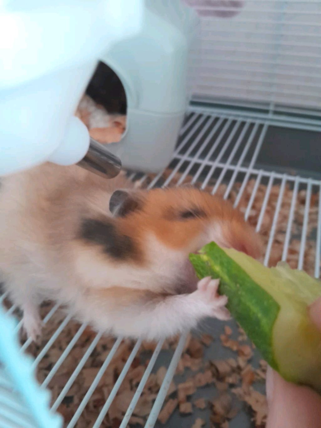 невероятно