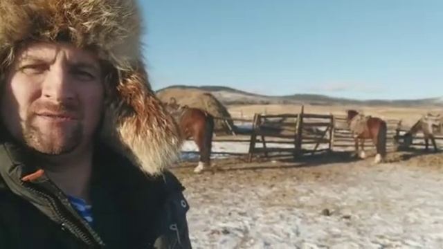 Прогулки на лошадях