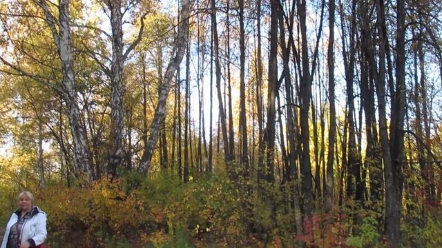 Идем в барнаульский Дендрарий
