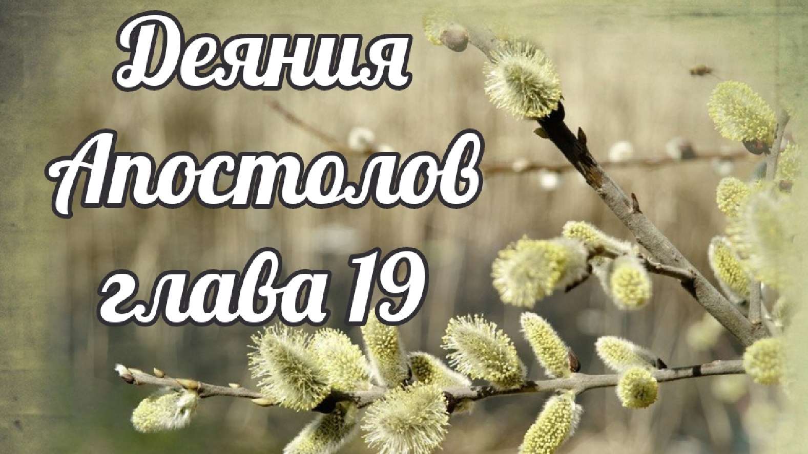 Деяния Апостолов глава 19