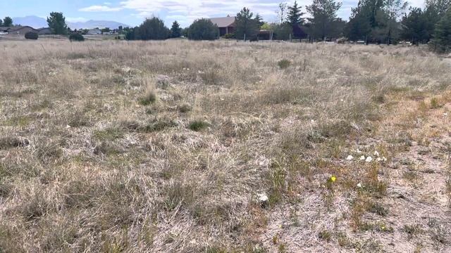 Chino Valley Picking Wild Flowers For Mama #wildflowers #my #boy #sweet #video #youtube #anak