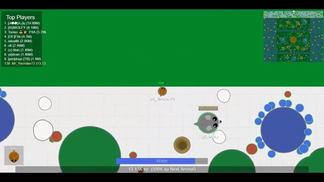 mope.io мини снежная пантера