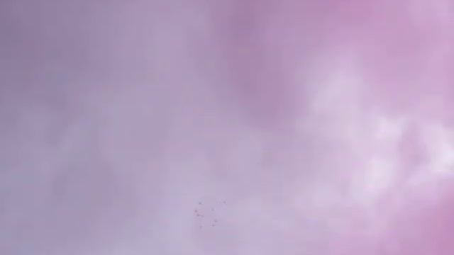 Видео 5