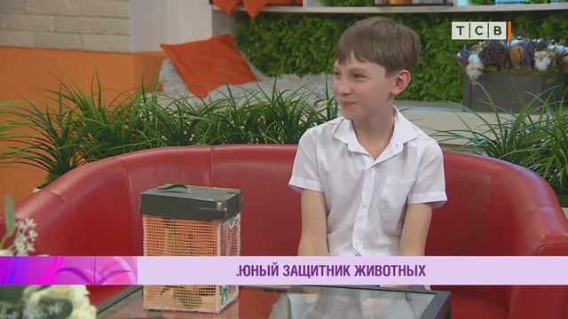 Юный спасатель животных  Письмо президенту