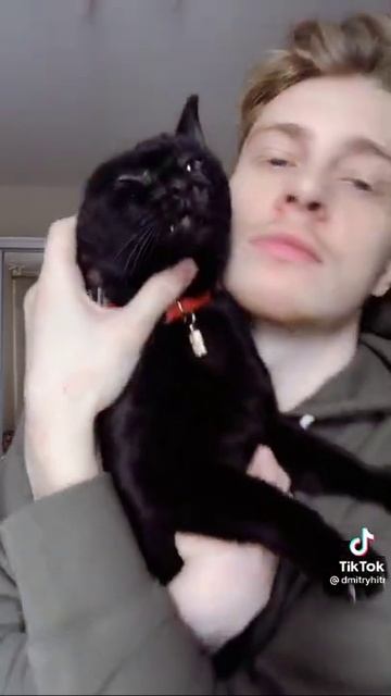 Черный кот поет