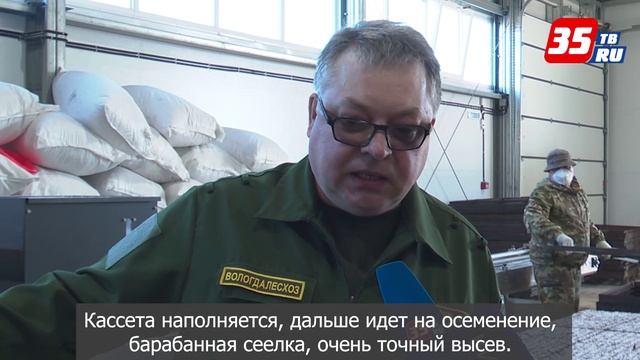 Более 6 млн семян хвойных деревьев посеют в Вологодском селекционном центре