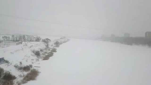 Поскорей бы зима- говорили они! Будет весело - твердили они