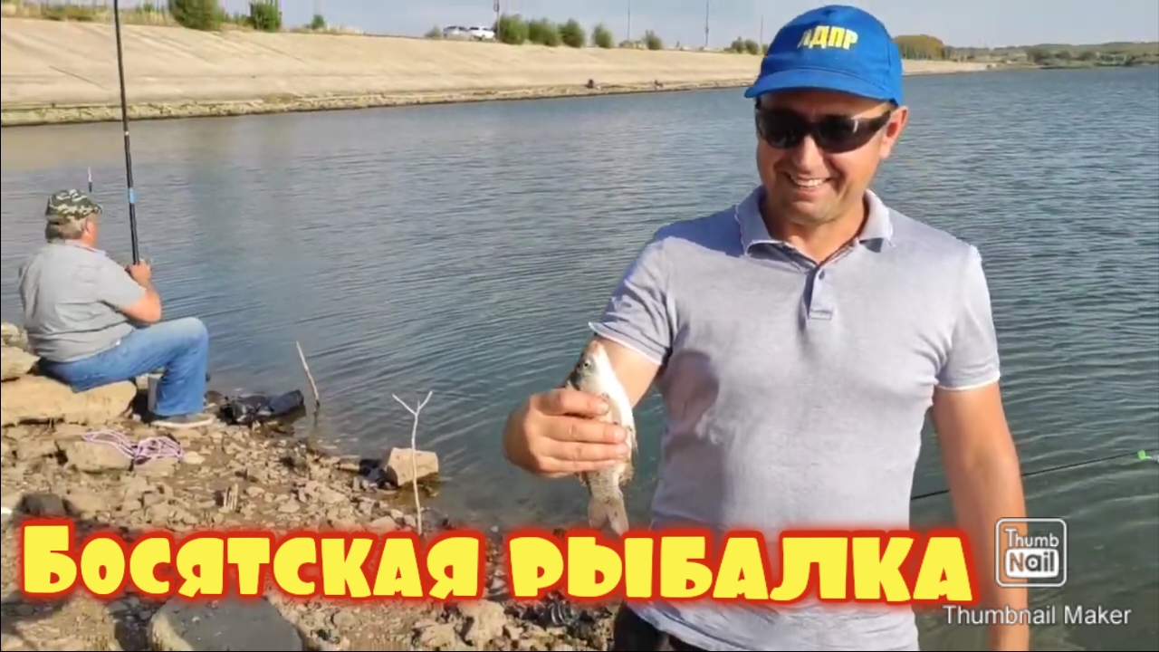 Неприхотливый карась