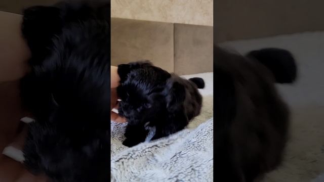1000008899.mp4
