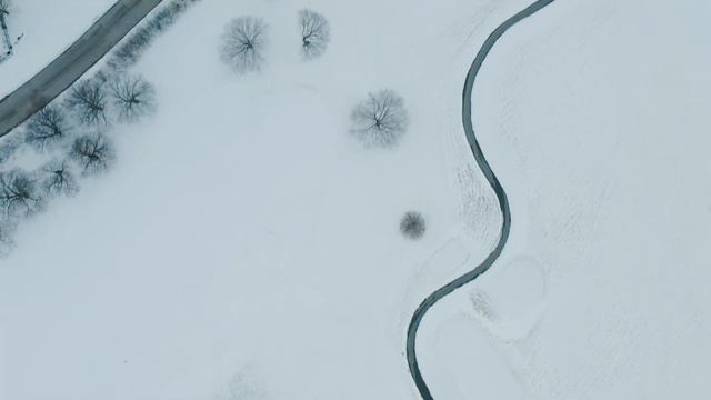 SNOW MAVIC 2 PRO