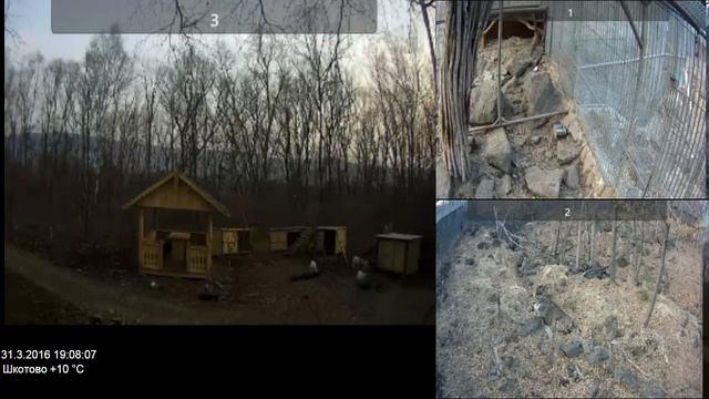 Архив веб-камер в Парке Амура и Тимура за 31.03.2016