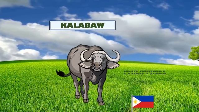 NATIONAL ANIMALS || National Animals of all Asian countries