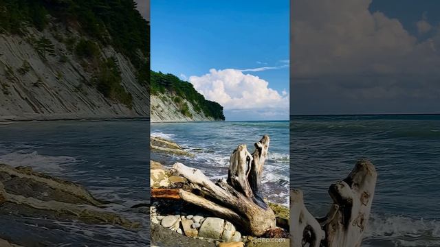 Морской бит