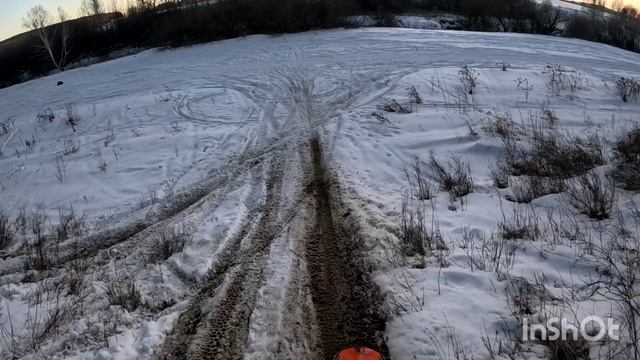 Жан Клод Ван Дам)