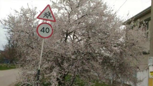 Весна/ Все расцвело/ Ура!!!!@