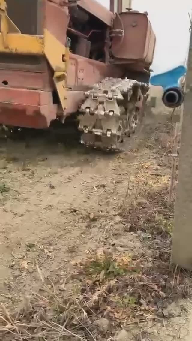 Закладка виноградной школки.