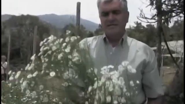 Flor Monte Casino - El jardín del Gocho
