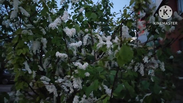Простой влог/ Товары к Пасхе 🐰