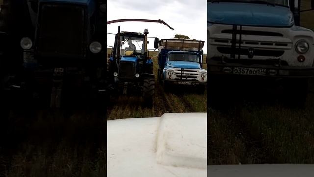 Подборка.... Сенажа....