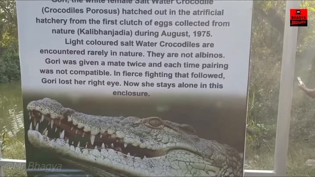 BHITARKANIKA - One Night Stay || ଭିତରକନିକା ରେ ଗୋଟେ ରାତି || Amazon of Odisha || Hunted Night