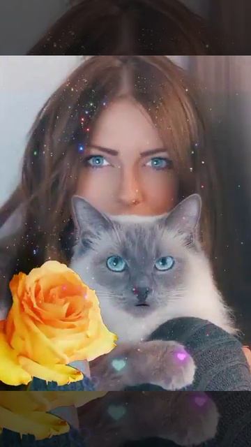 АЛИСА, С ДНЁМ РОЖДЕНИЯ! #котики #коты #кошки #сднемрождения голос Алисы вживую!!!