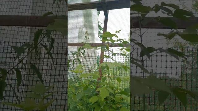 К Гальке приехал друг🤗