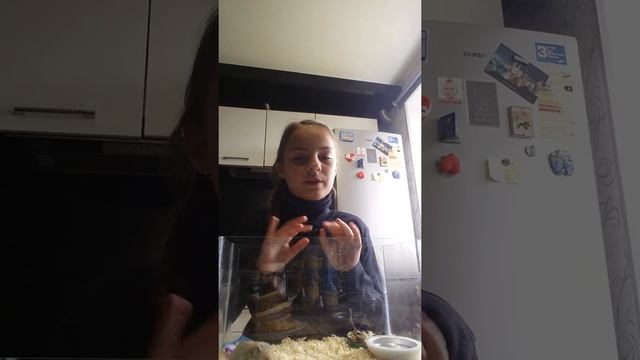 Все о хомяке! С носа до хвоста!