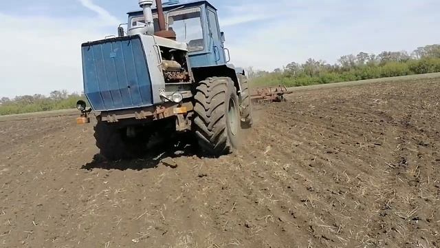 6 мая 2021 г.вторая культивация под подсолнечник