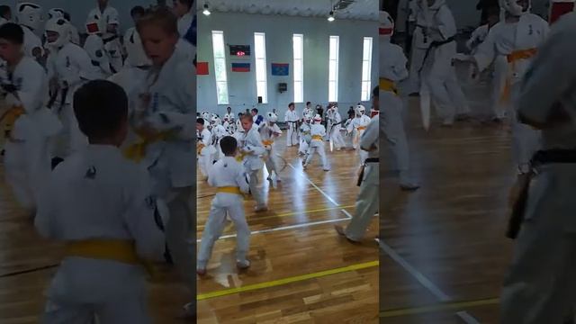 Кю тест на зелёный пояс.