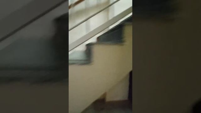 Тгпу