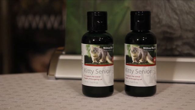 Kitty Senior - Herbal Mobility Supplement for Cats - Product Description