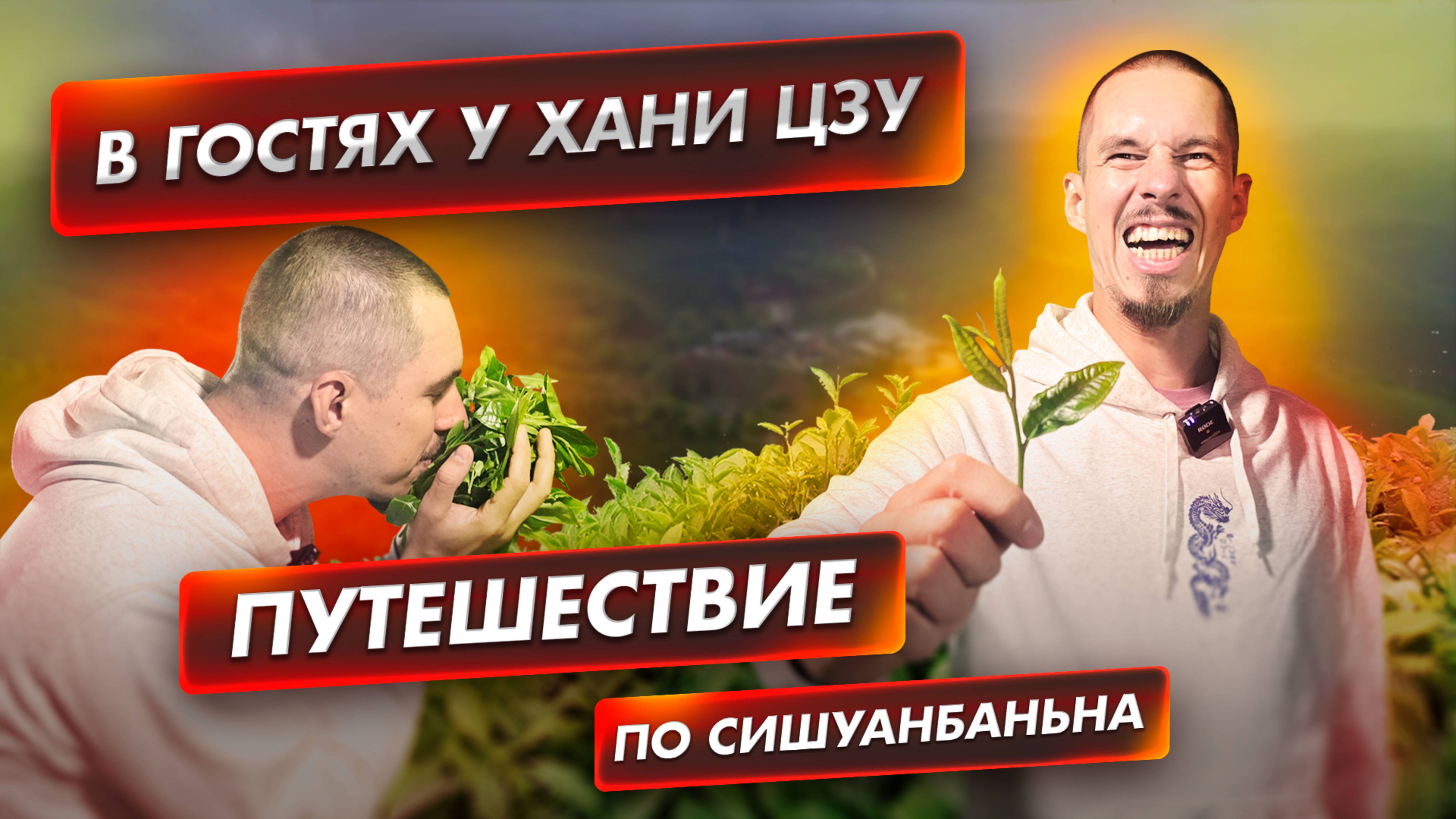 Путешествие по Нань Но Шань. Анцзи Бай Ча из пуэрного сырья.