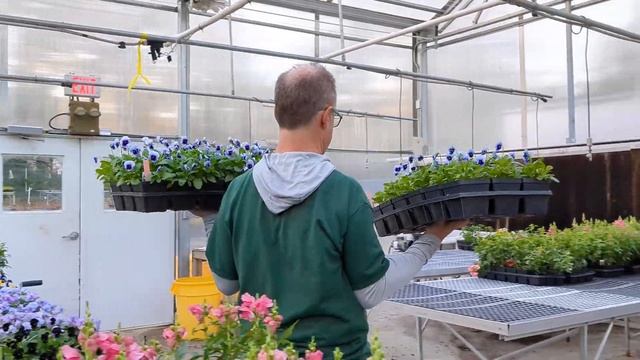 This is What I Do: Greenhouse and Nursery Manager