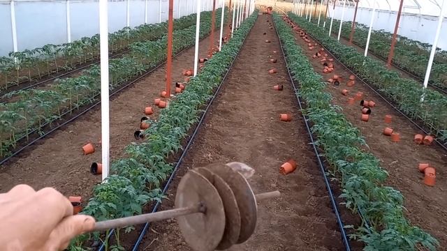 Херсонщина. Нарешті відсадилися 1.07.2022