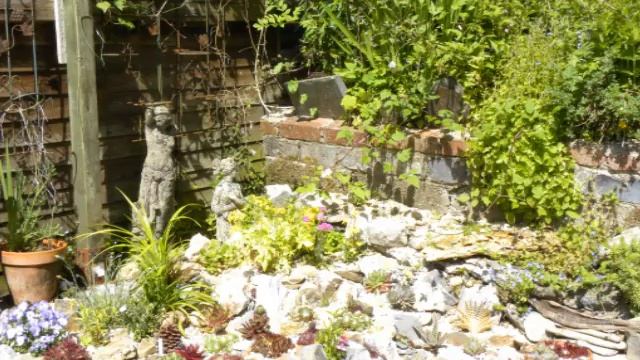 Dave's alpine garden in May