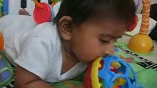 Taran Video 12 8 13 1)